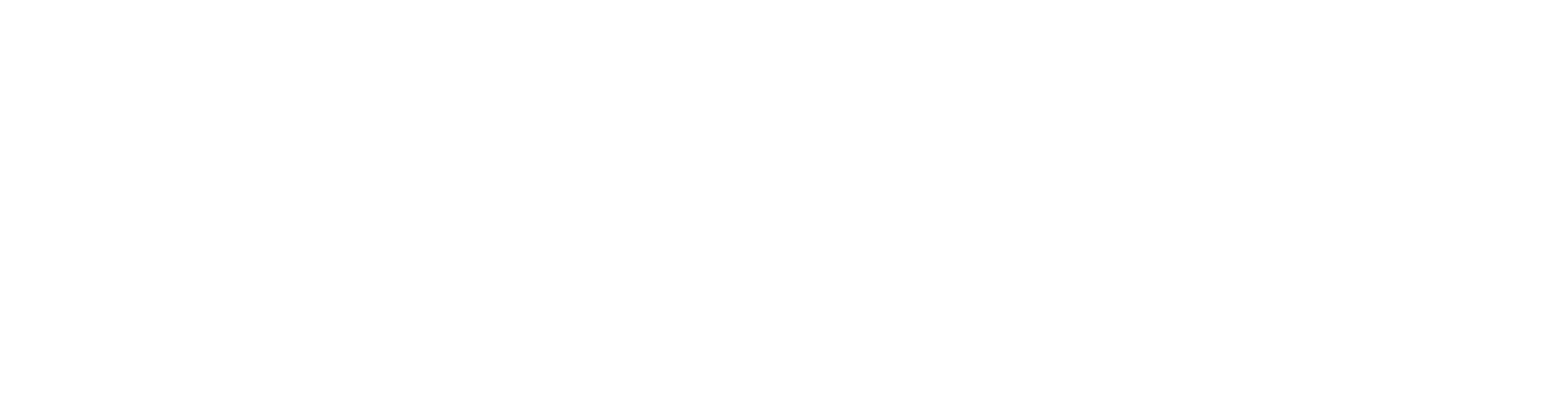 LWV Logo